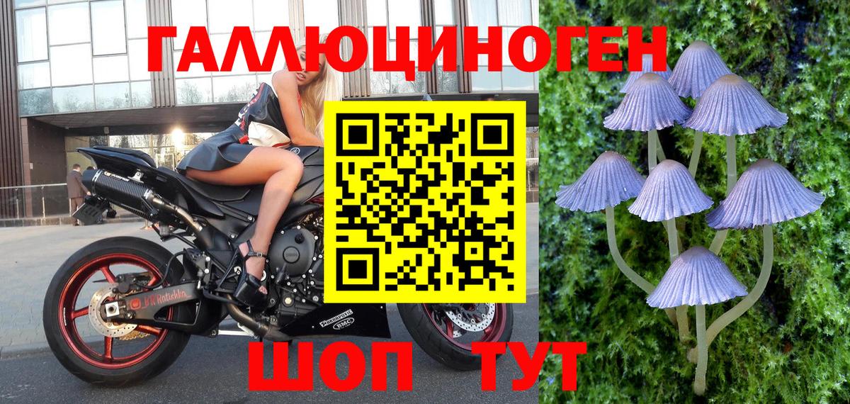 Галлюциногенные грибы Magic Shrooms Сальск